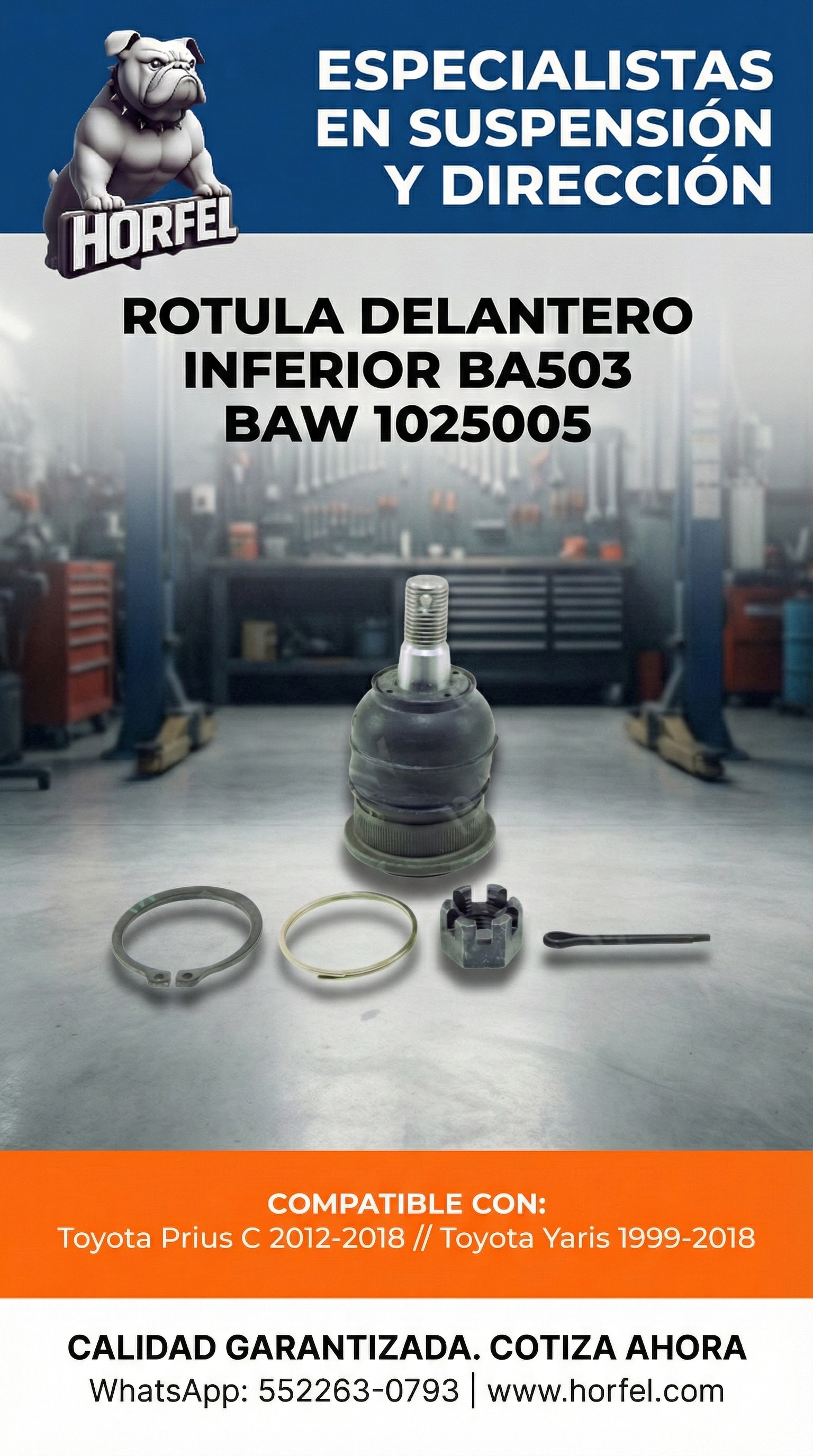 ROTULA DELANTERO INFERIOR Toyota Prius C / Yaris (1999-2018) BAW BA503