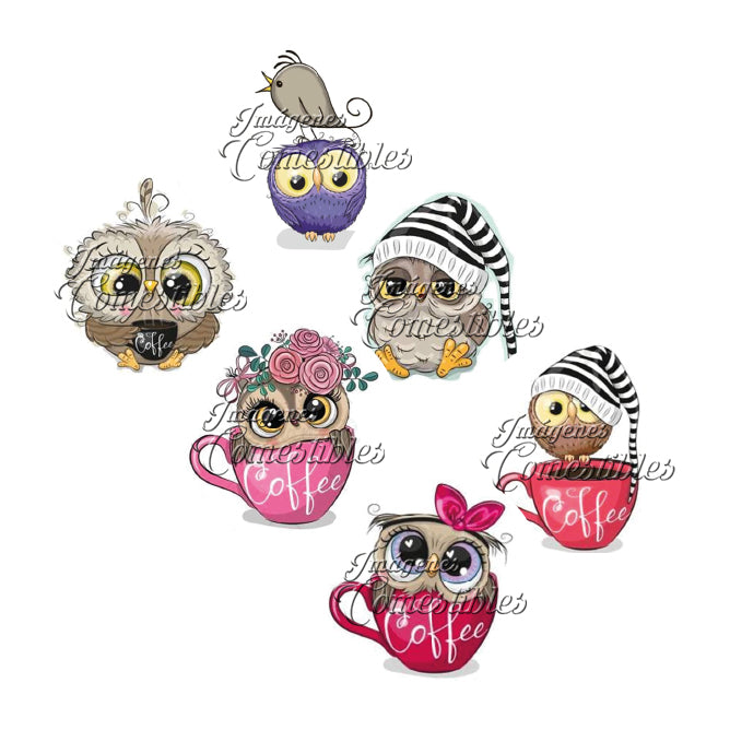 Obleitas comestibles - Buhos-1