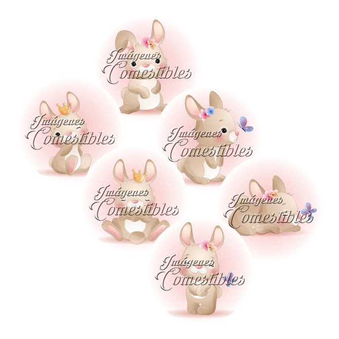 Obleitas comestibles - Conejo