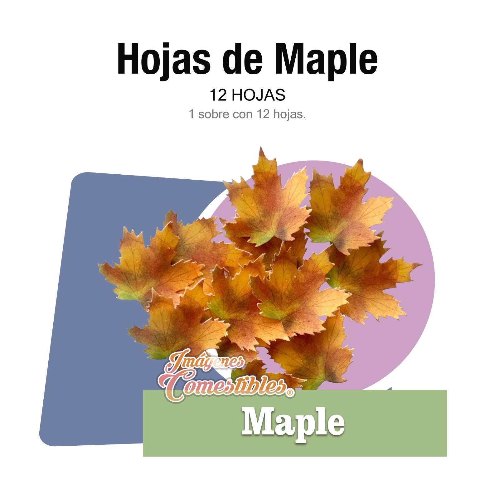 12 hojas de maple