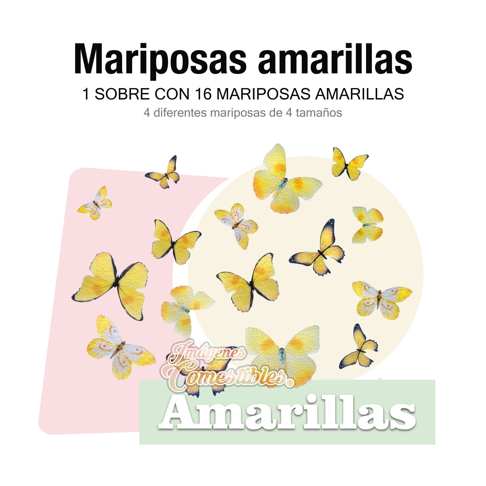 16 mariposas diferentes colores