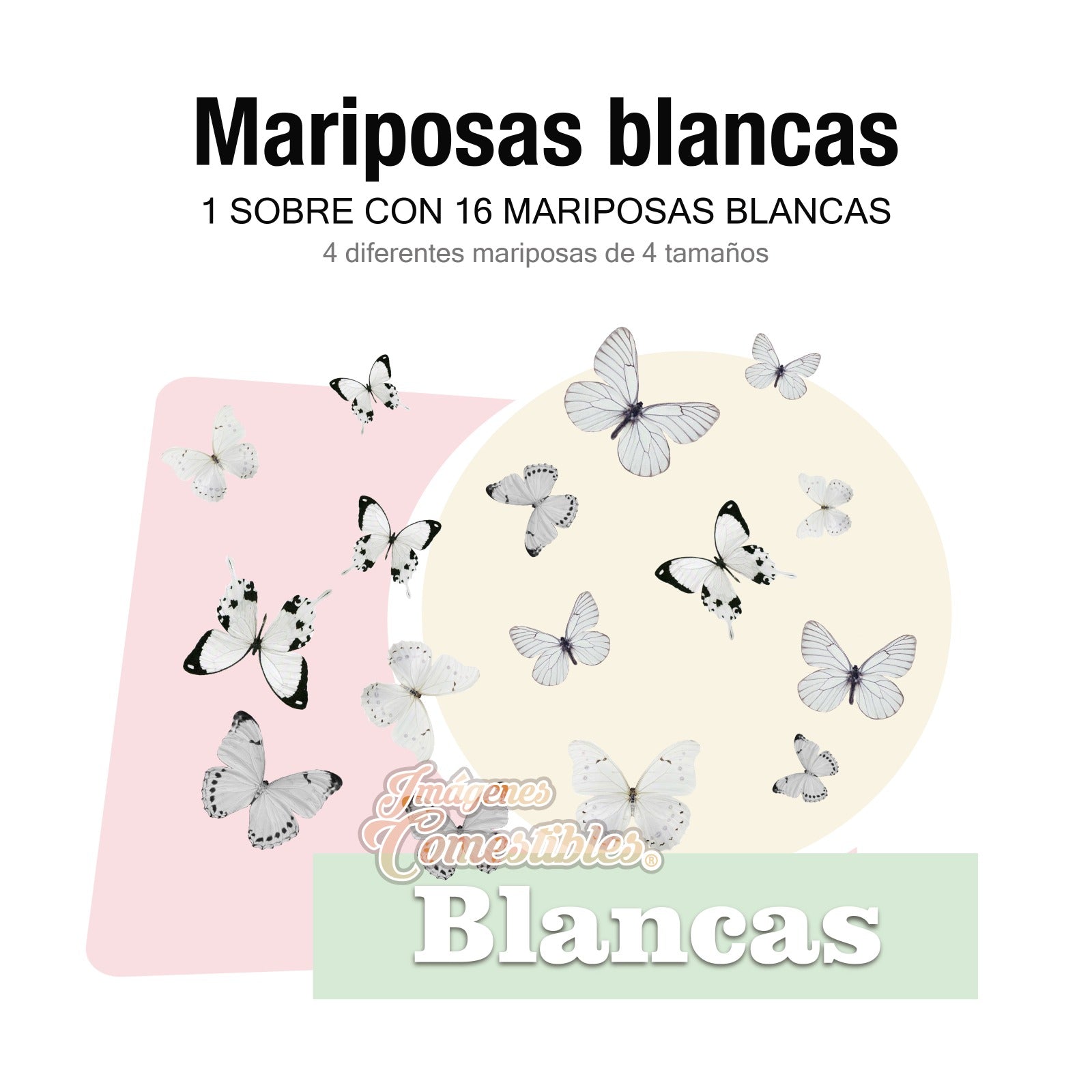 16 mariposas diferentes colores