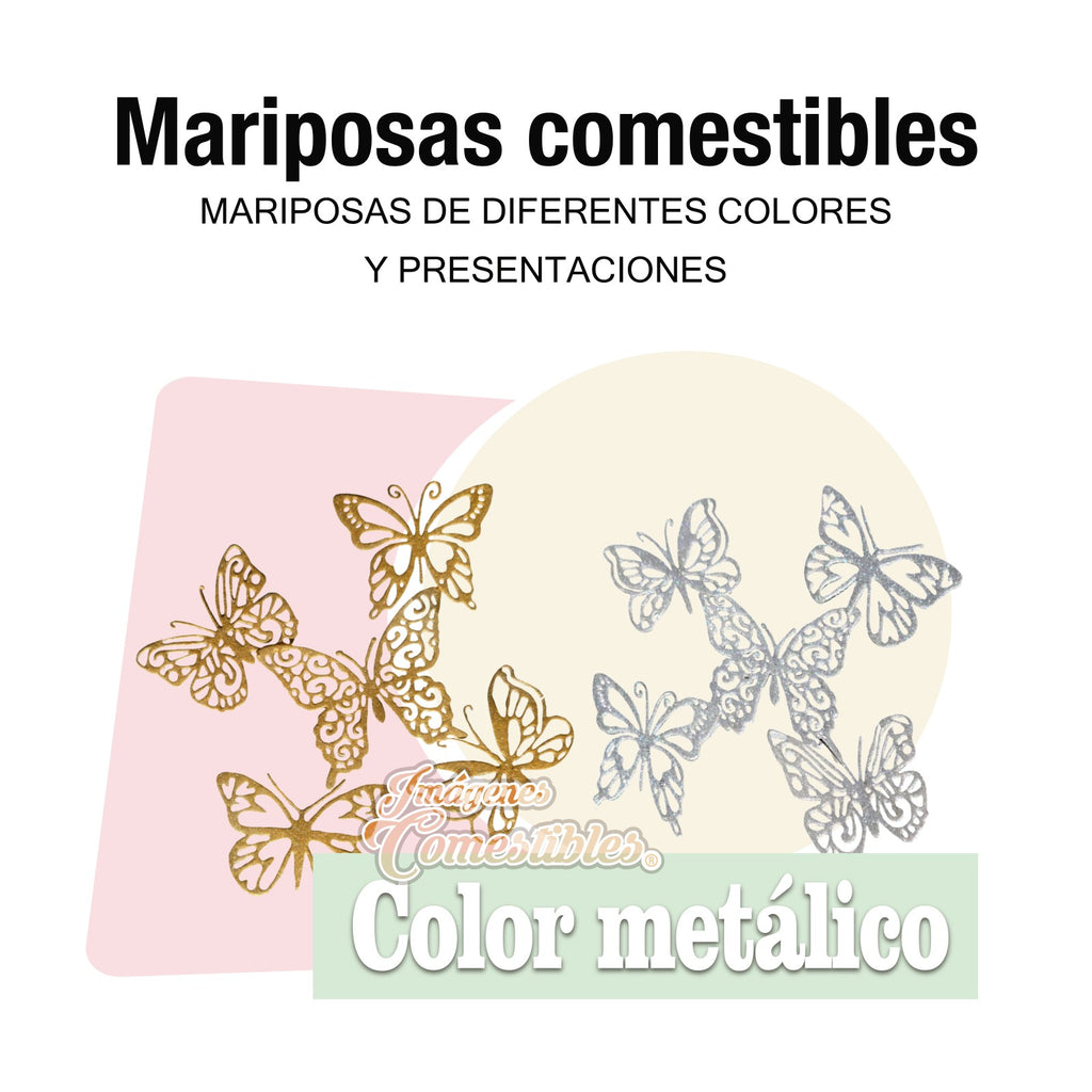 Mariposas tonos metálicos