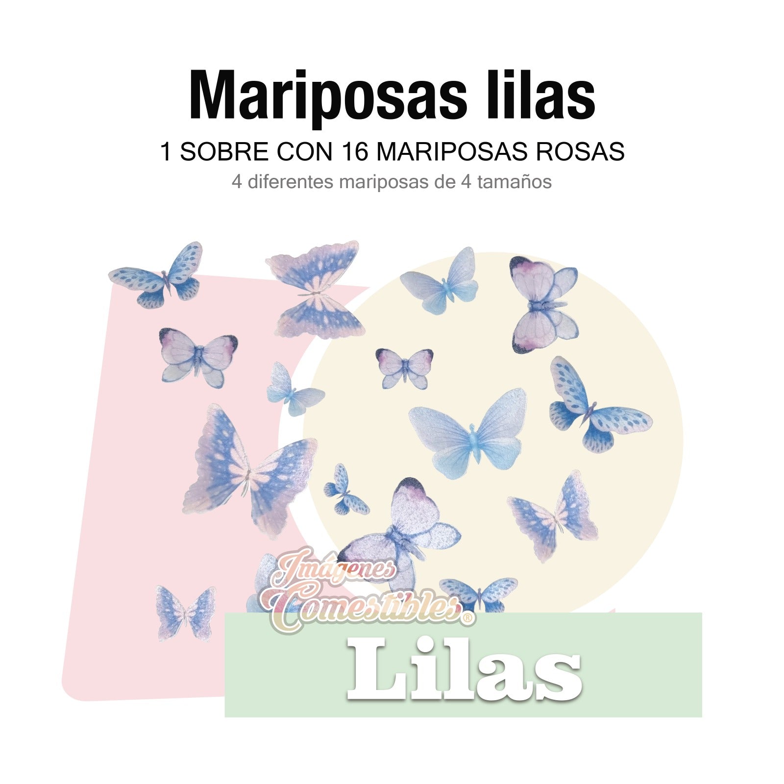 16 mariposas diferentes colores