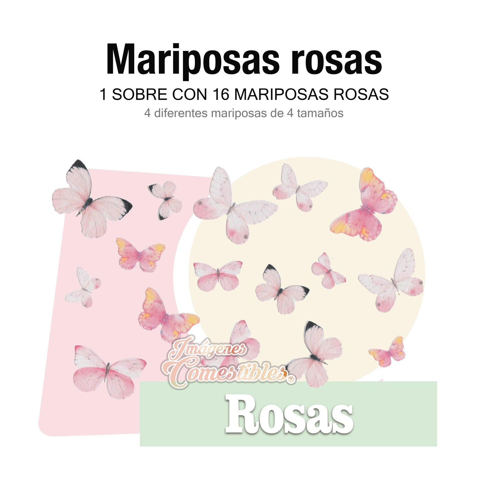 16 mariposas diferentes colores
