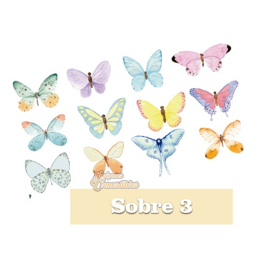 36 Mariposas pastel