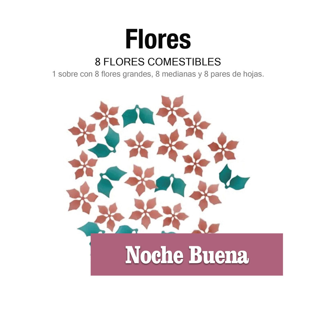 8 flores de Noche buena