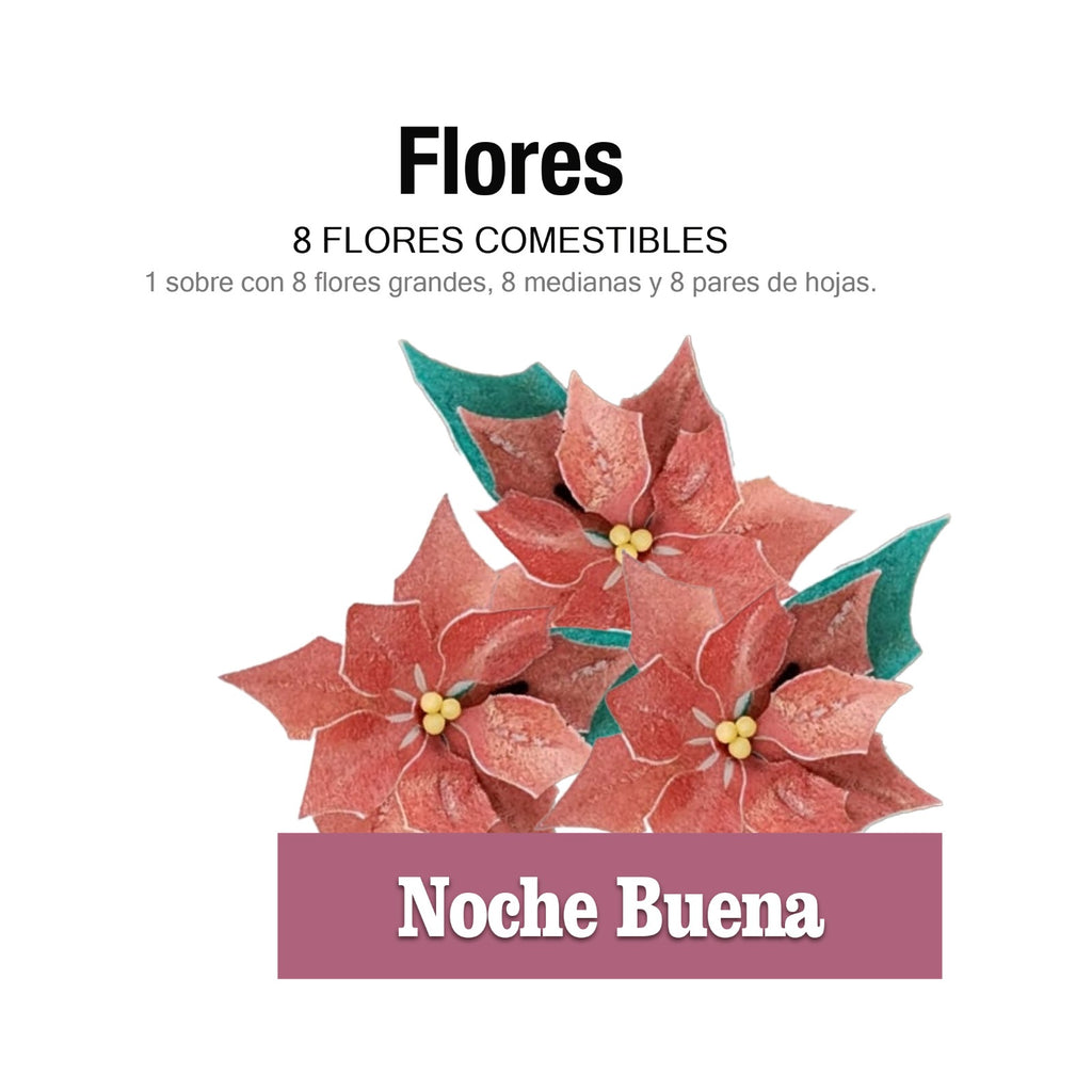8 flores de Noche buena
