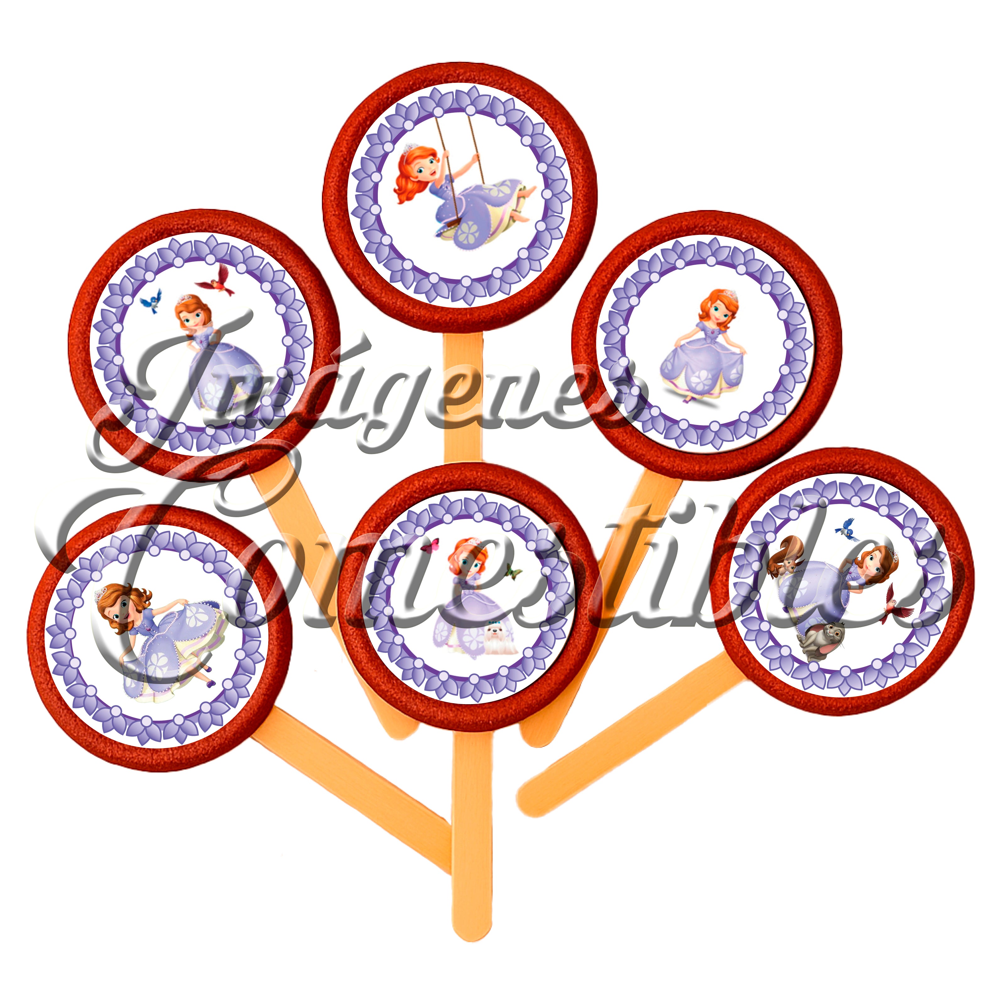 Paletas de chamoy – Princesa Sofía-1