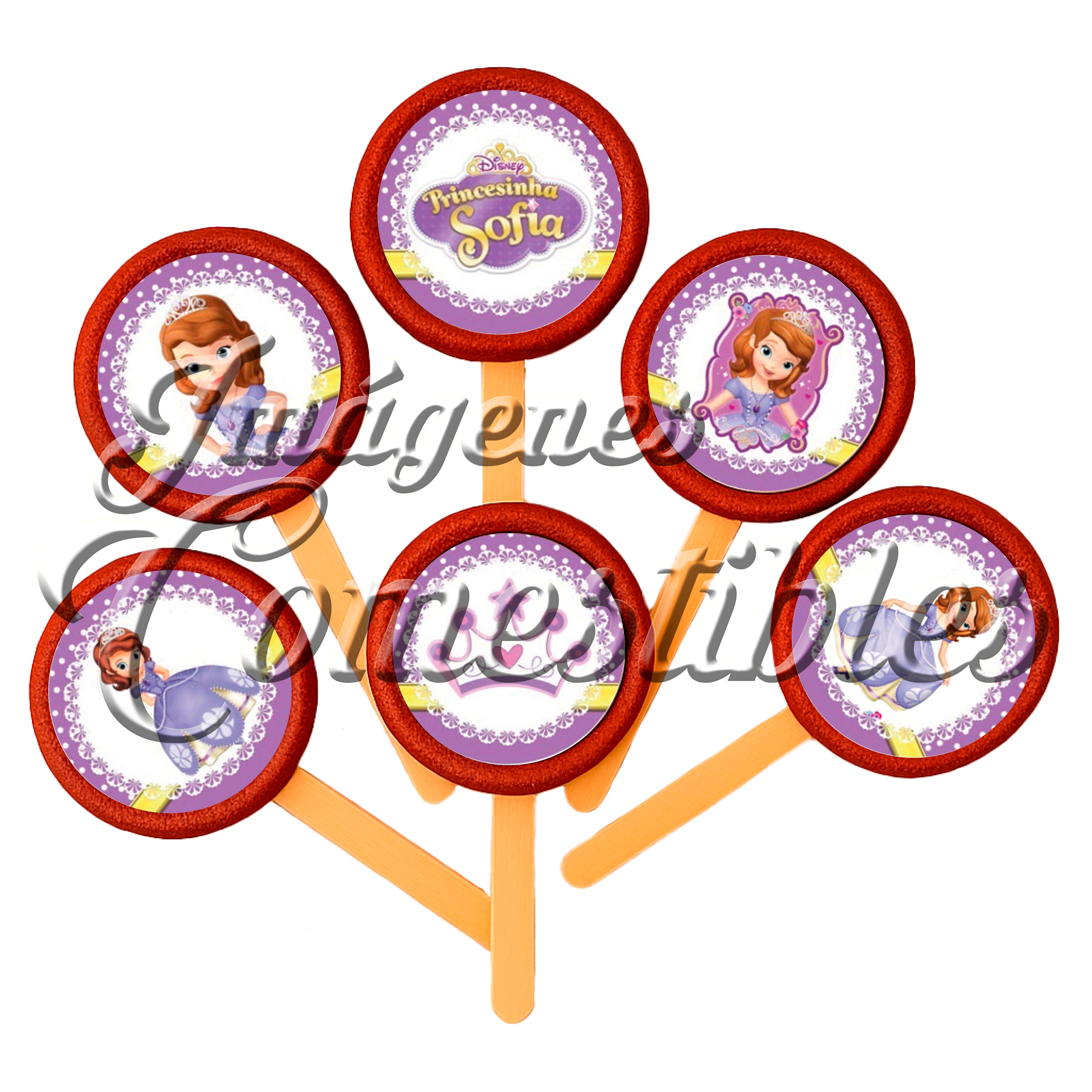 Paletas de chamoy – Princesa Sofía-2