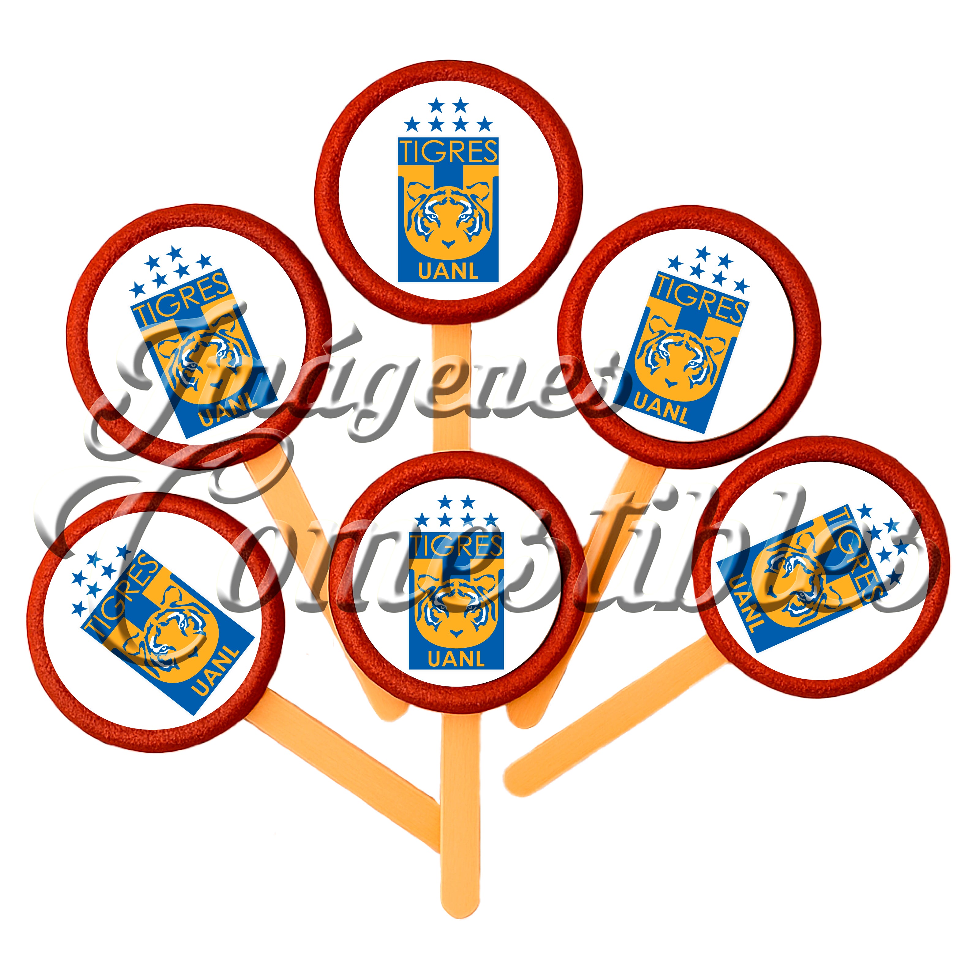 Paletas de chamoy – Tigres