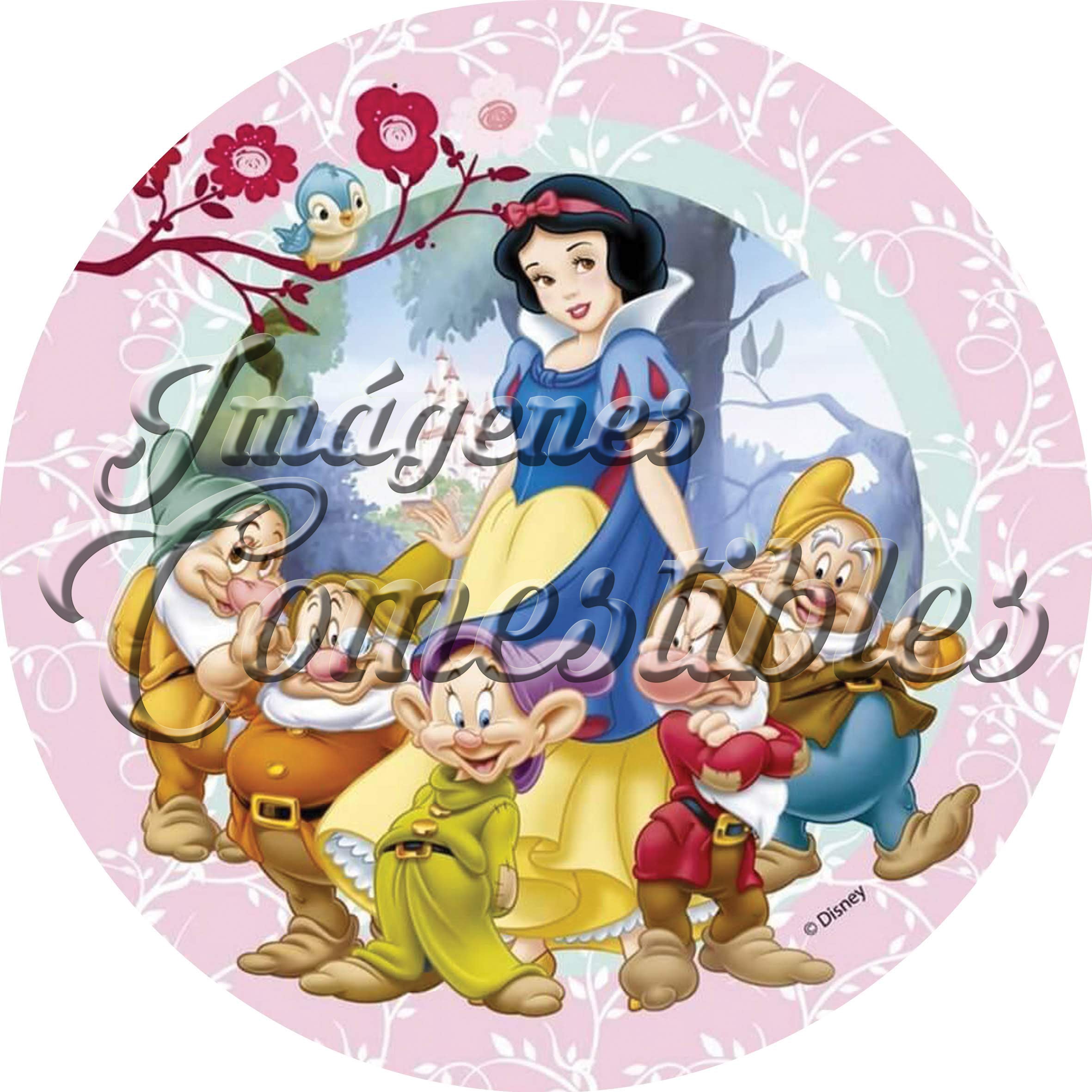 Oblea comestible - Blanca nieves-4