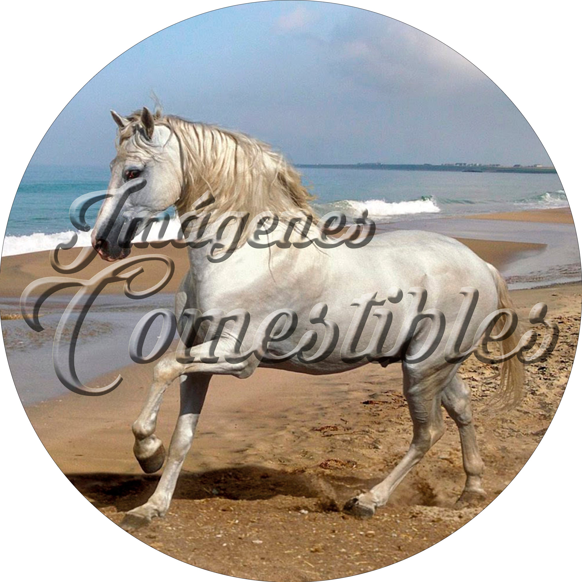 Oblea comestible - Caballo