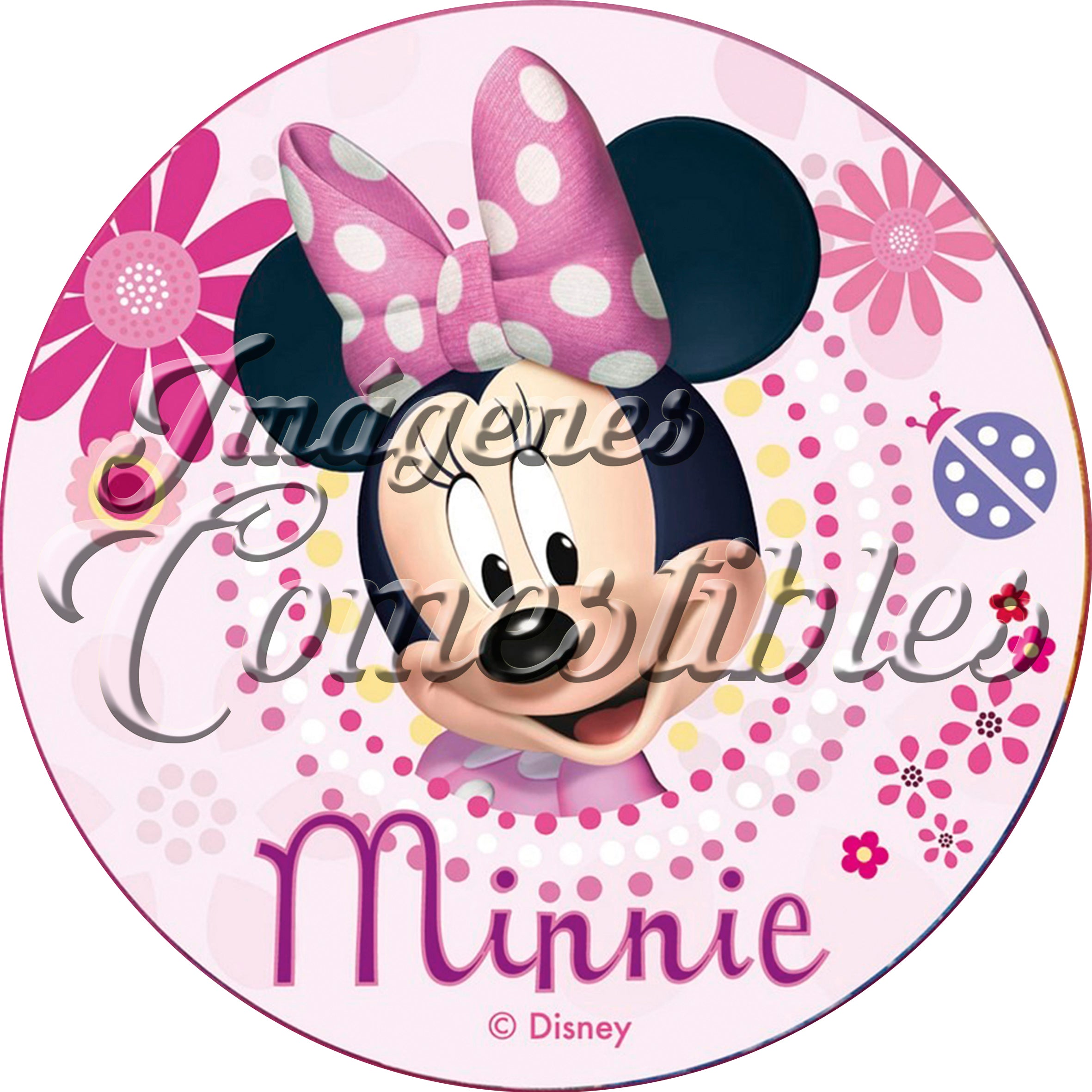 Oblea comestible - Minie mouse-7
