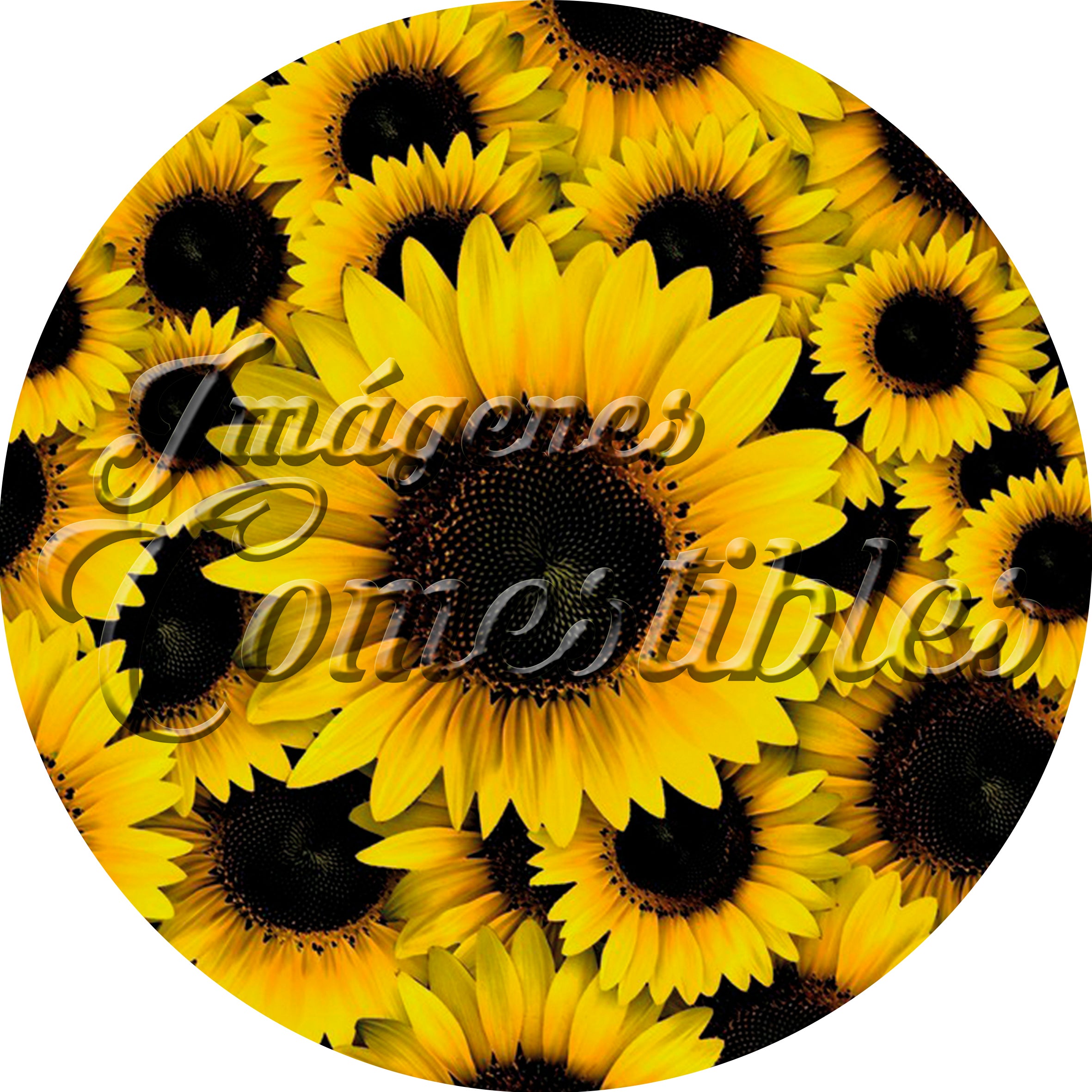 Oblea comestible - Girasoles