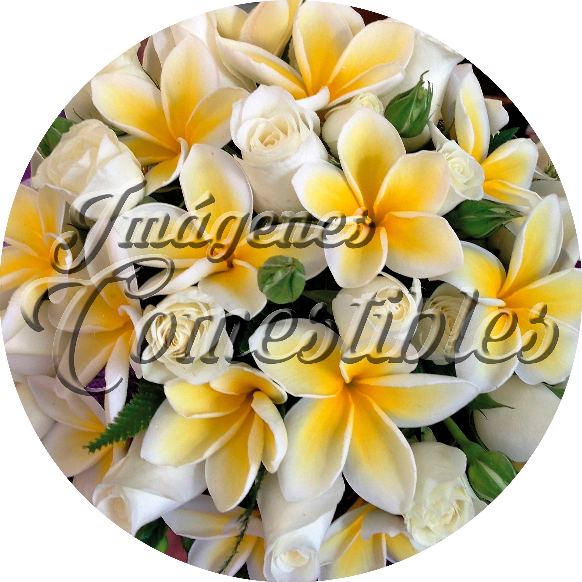 Oblea comestible - Rosas plumería